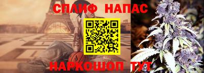 гидра Кандалакша