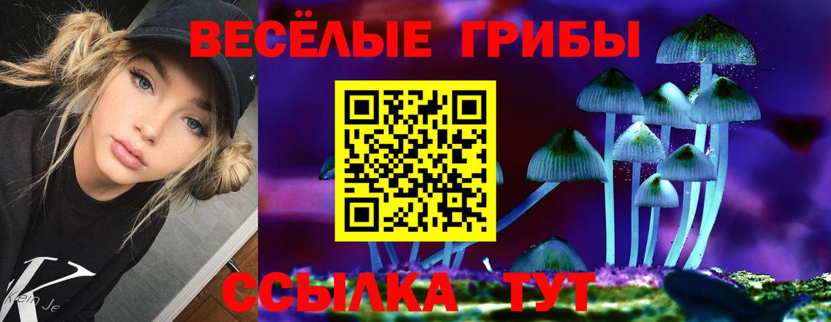 магазин    Вход с VPN  Лабытнанги  Галлюциногенные грибы MAGIC MUSHROOMS 